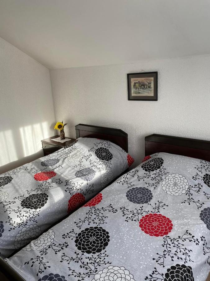 Micin Dom Apartment Pirot Ngoại thất bức ảnh